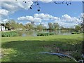 Lake at Bleach House Farm