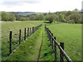 Footpath through a field in Ynyswen