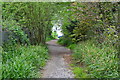 Path towards caravan park, Shanklin