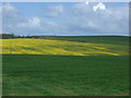 Crop fields near Kentstone