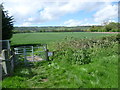 Footpath past Birling Lodge Farm