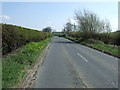 Minor road towards Ponteland 