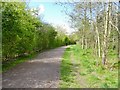 Path in Grassmoor Country Park