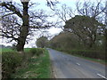 Minor road towards Stamfordham 