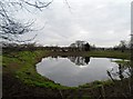 SJ8166 : Large pond near Swettenham by Bikeboy