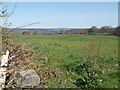 Fields adjacent to Carr Bottom Road, Greengates