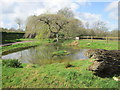 Pond at Ridgeway Farm