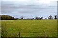 Farmland near Merrington Plantation