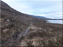 NG8648 : Path by Loch Damh by Alpin Stewart