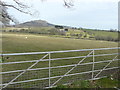 View over a gate from the B4233