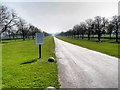 Windsor Great Park, The Long Walk South of Albert Road