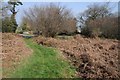 Bridleway at Woodlands