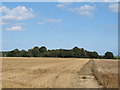 Footpath over arable land, near Nether Hall, Harkstead