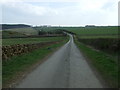 Minor road near Belsay Barns