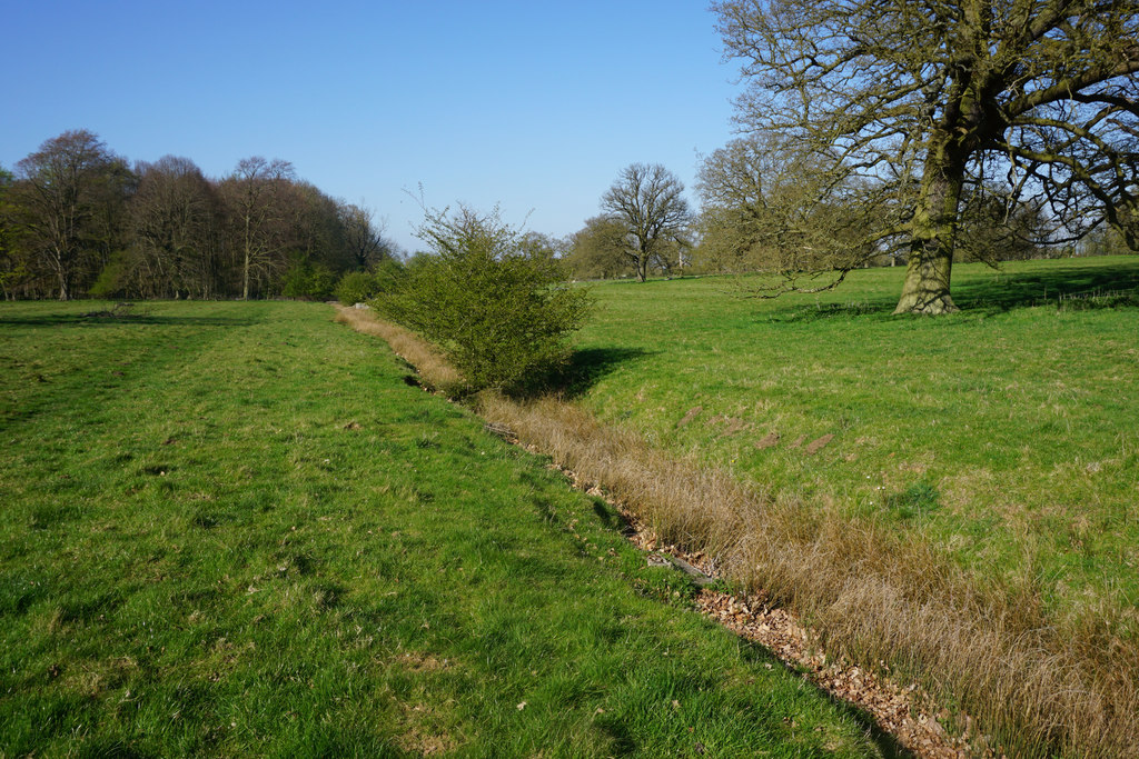 Drainage ditch in Ickworth Park © Bill Boaden :: Geograph Britain and ...