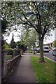 TQ6194 : Springtime in Hutton Road by Glyn Baker