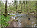 The Mor Brook, near Eardington