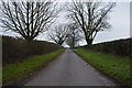 TG0605 : Trees, Coston Lane by N Chadwick