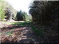 Bridleway, Muncaster