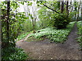 Footpath at Mountfield and Coneygar Hill Millennium Green