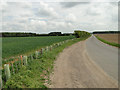 The unfenced road to Ampton from Little Livermere