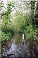 Jericho Priory Moat