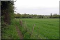 Footpath & Improved Grassland