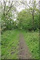 Verdant Bridleway