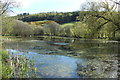 Pond at Gatehouse of Fleet