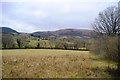 Rough grassland, Afon Carno Valley