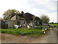 Tumbled-down house at Woodview Farm