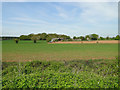 New Barn Farm across the fields from Wood View Farm