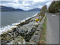 Loch Long by Shore Road