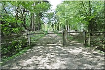 SZ2599 : Wootton Coppice Inclosure, gates by Mike Faherty