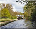 Peak Forest Canal Bridge "A"