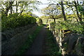 Path off Ashes Lane towards Castle Hill