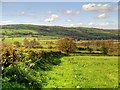 View to the North from Chatburn Road