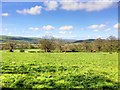 Farmland to the North of Downham