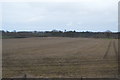 SJ3428 : Flat farmland by N Chadwick