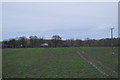 Farmland near Whittington