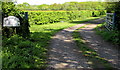 Entrance to Woodside Farm, West Dean