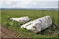 NJ8844 : Auchmaliddie Recumbent Stone Circle (1) by Anne Burgess