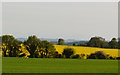 SU5075 : Farmland near Bothampstead, Berkshire by Edmund Shaw