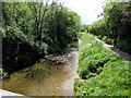 South along Barge Canal, Romsey