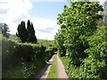 The Wye Valley Walk on Howle Hill