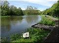 New Biggin Pond, Tankersley Park