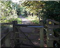 SJ8581 : Gate to the Bollin Valley Way, Wilmslow by Jaggery