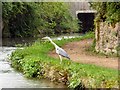 Heron near the M67