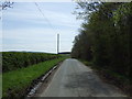 NT7371 : Minor road towards Oldhamstocks by JThomas