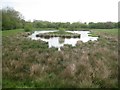 SP6380 : Welford: Medieval Fish Pond by Nigel Cox